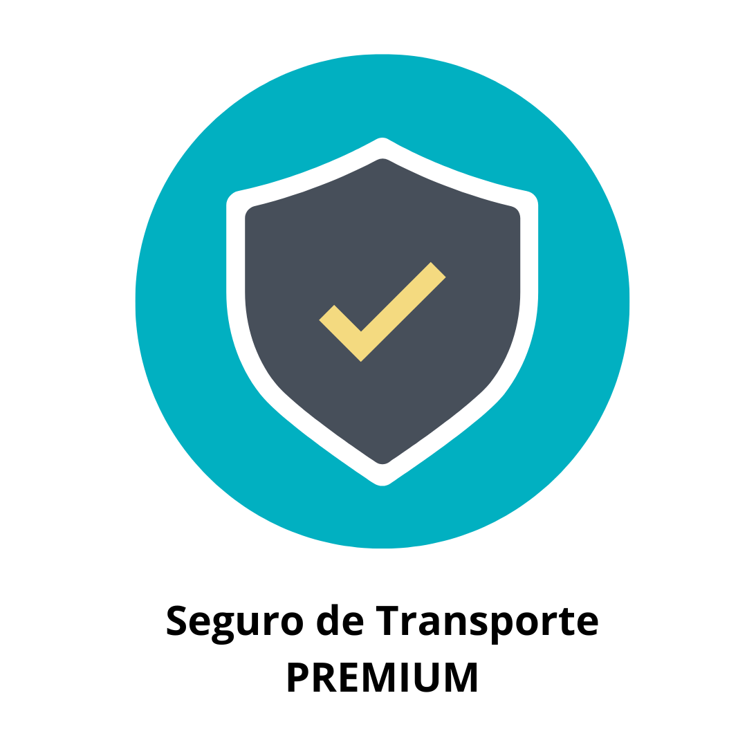Seguro Transporte